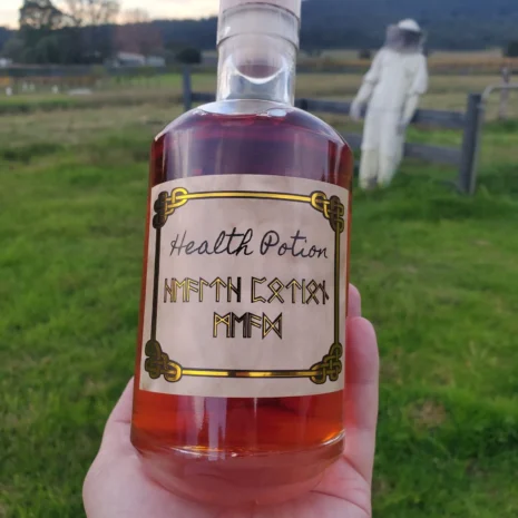 Health-Potion-Mead